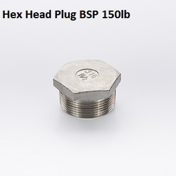 BSP Hex Head Plug