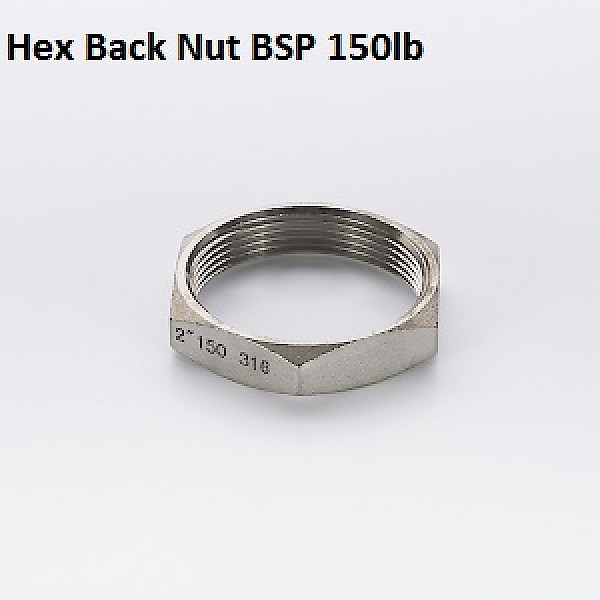 BSP Hex Back Nut